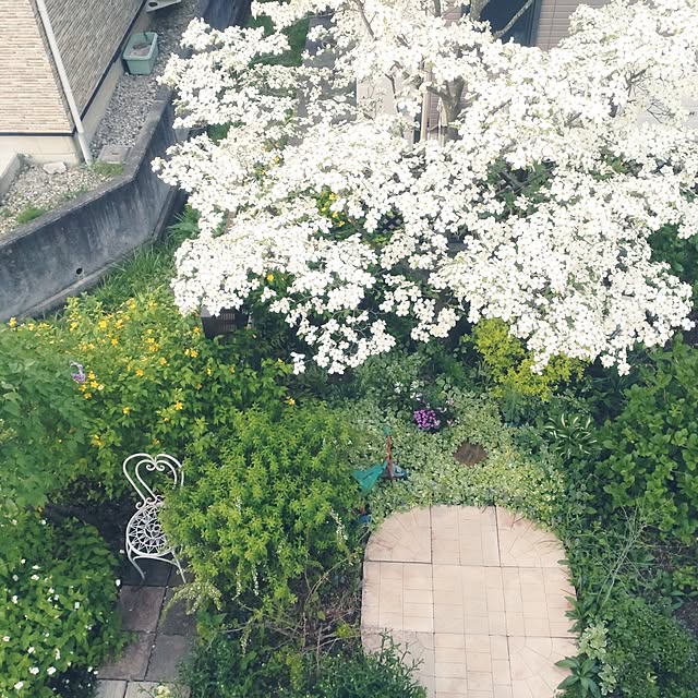 Hujikoさんの実例写真