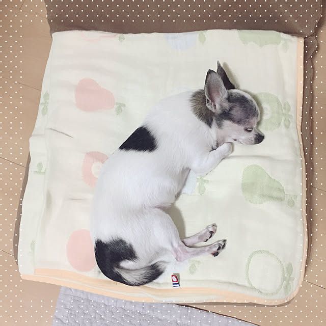 Emiさんの実例写真