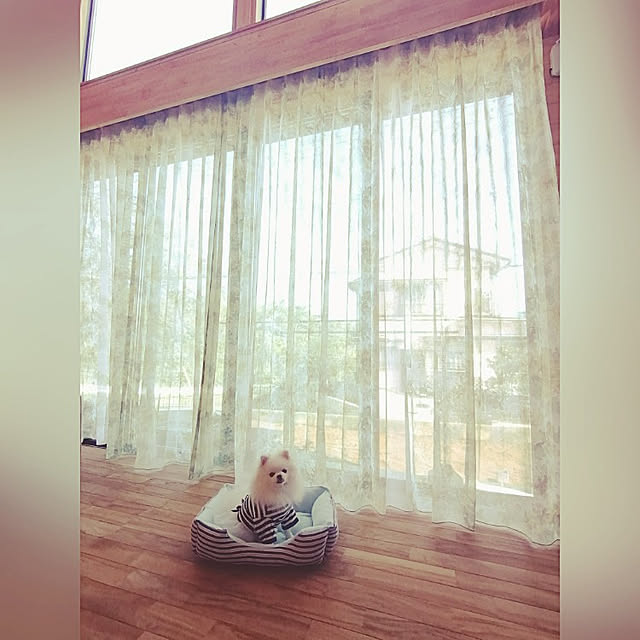 noiさんの実例写真