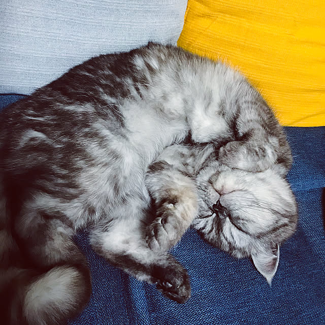 Marinさんの実例写真