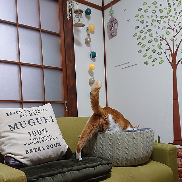 mugi77327732さんの実例写真