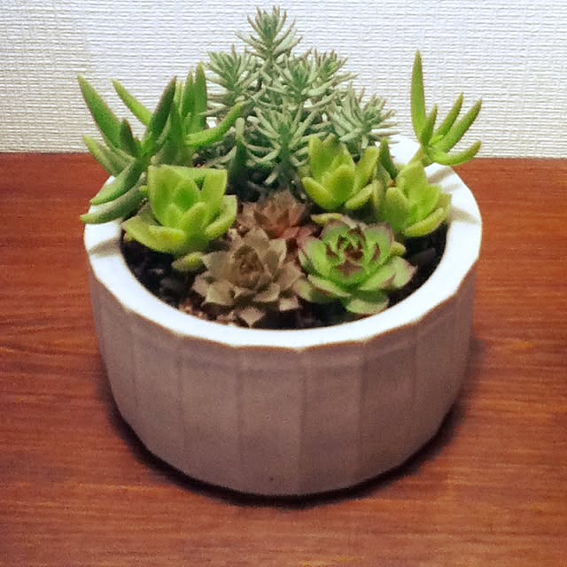 ocasamさんの実例写真