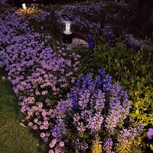 coconathuさんの部屋