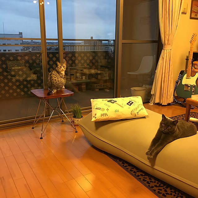 Shojiさんの実例写真