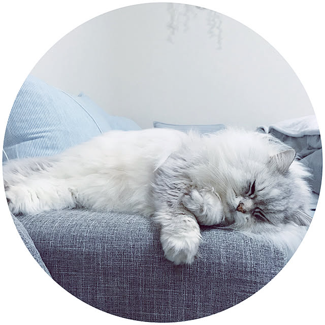 moon.mさんの実例写真