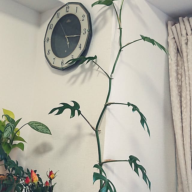 hopkeiさんの実例写真