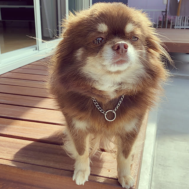 Mikiさんの実例写真