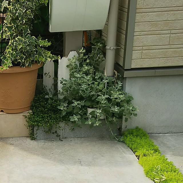 mmpoohさんの実例写真
