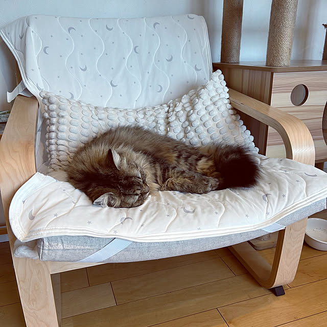 matcha-catさんの実例写真