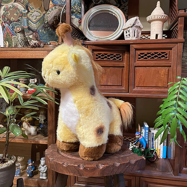 shin0719さんの部屋