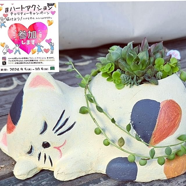 mocomocoさんの実例写真