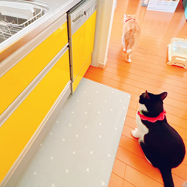 moolさんの部屋