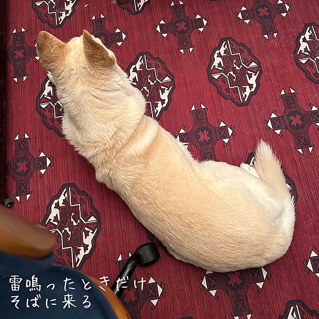 tanboさんの部屋