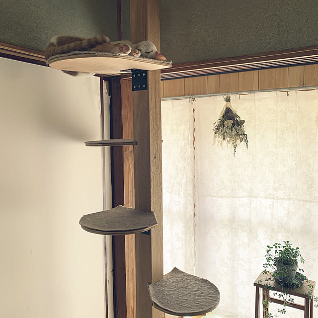 suさんの実例写真
