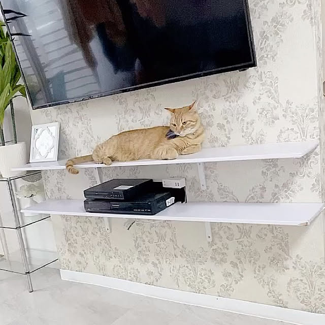 mii_home_39さんの実例写真