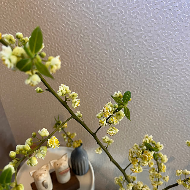 kojimasaさんの部屋