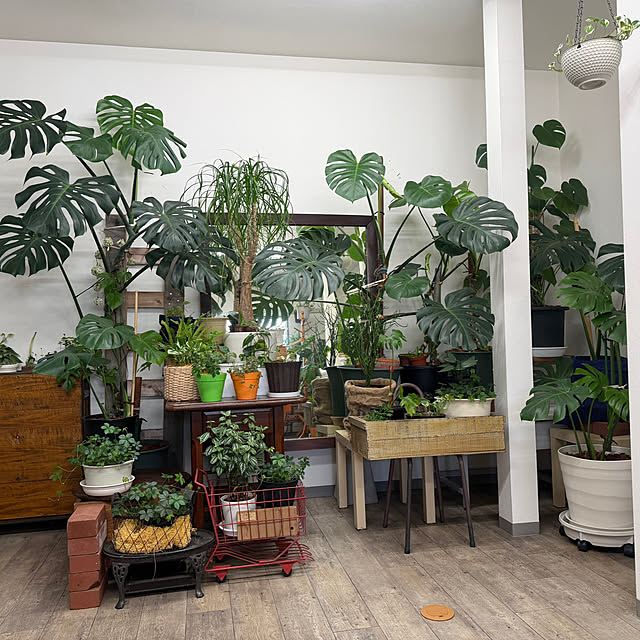 openaim2さんの実例写真