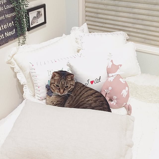 lovecatさんの実例写真