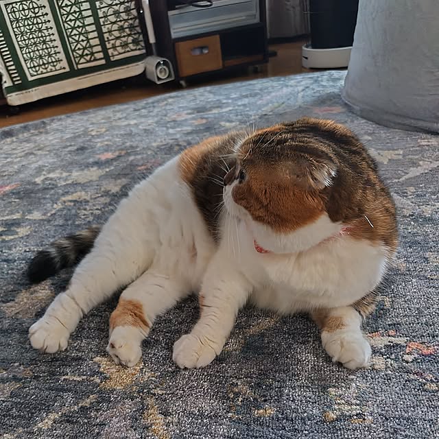 hiro3さんの部屋