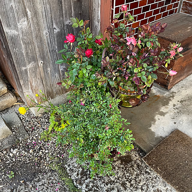 shin0719さんの部屋