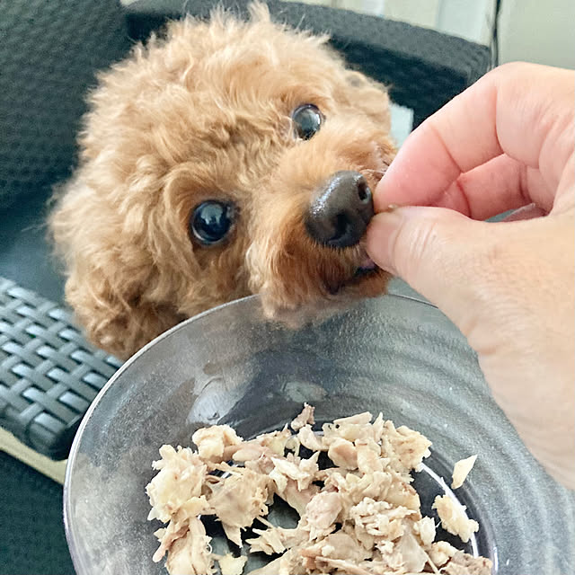 MOMOMAMAさんの部屋