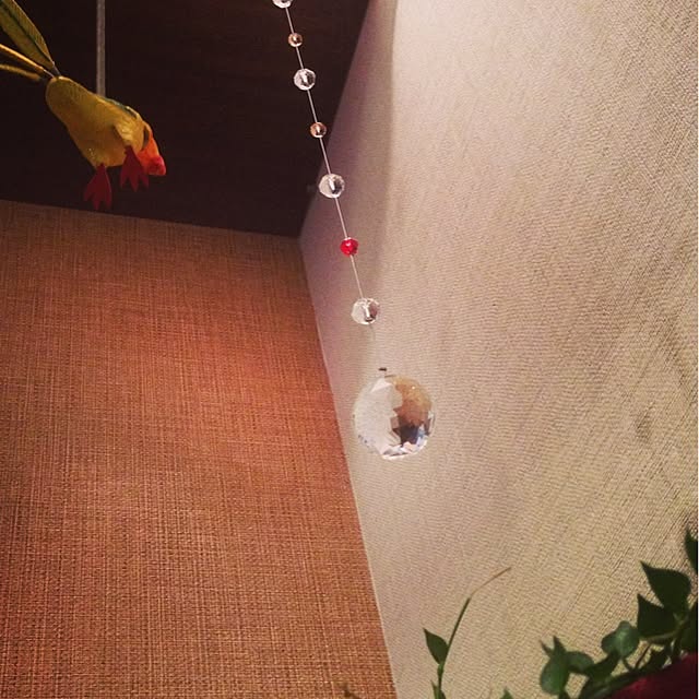nao.x_x.さんの実例写真