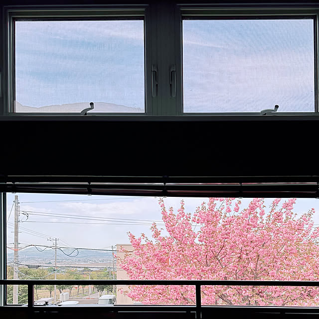 hanahana1444さんの部屋