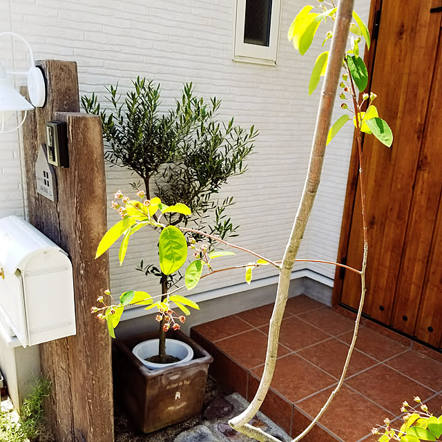 oshinkoさんの実例写真