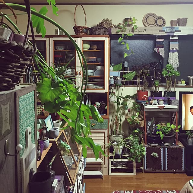 Norikoさんの実例写真