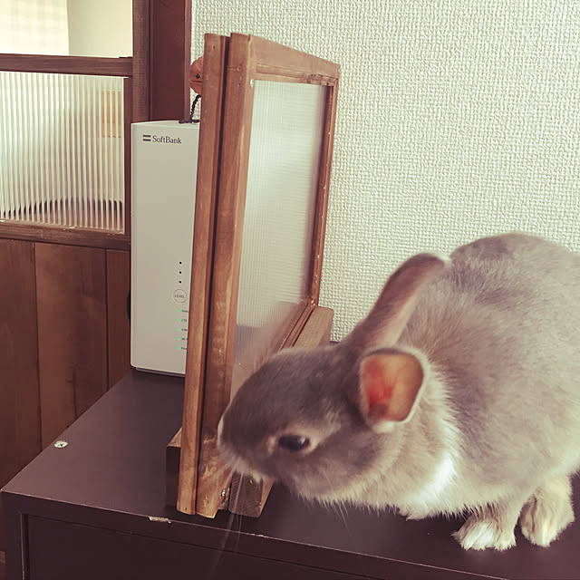 mami-s-cafeさんの実例写真
