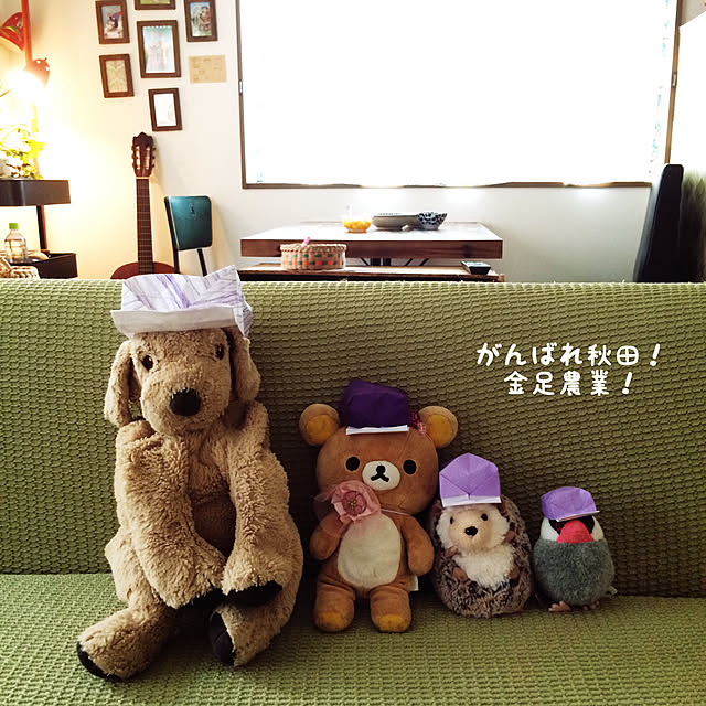 soramameさんの実例写真