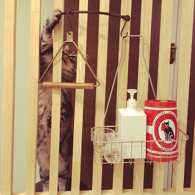mikomaruさんの実例写真
