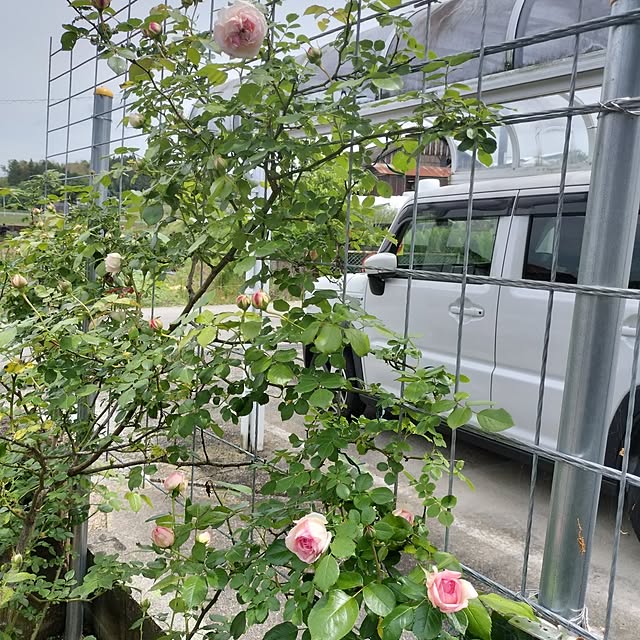 sumimarumiさんの部屋