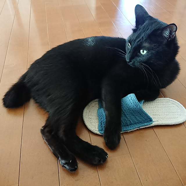 maikyさんの実例写真