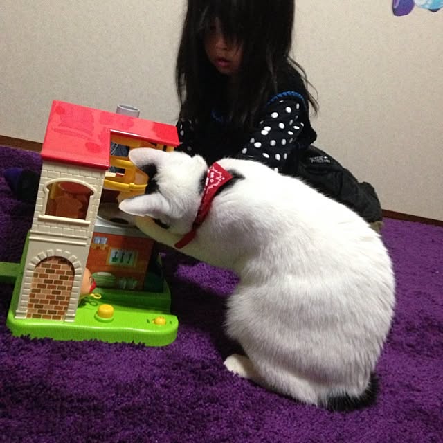 pandasyokudoさんの実例写真