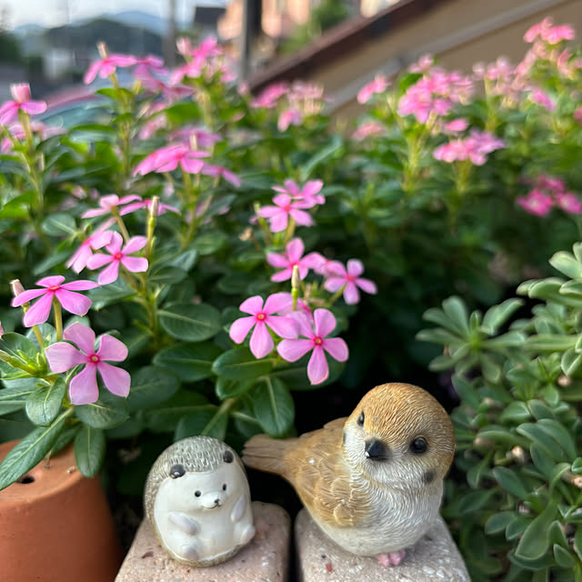 haruruさんの実例写真