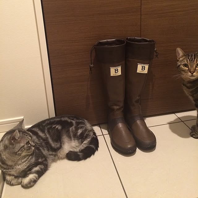 mikomaruさんの実例写真