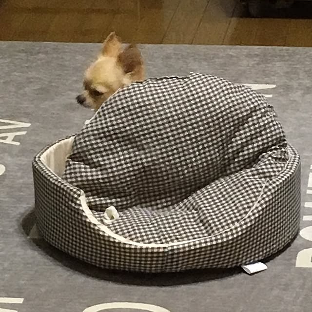 chi-koさんの実例写真