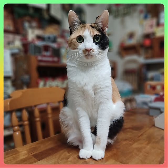 nanaさんの部屋