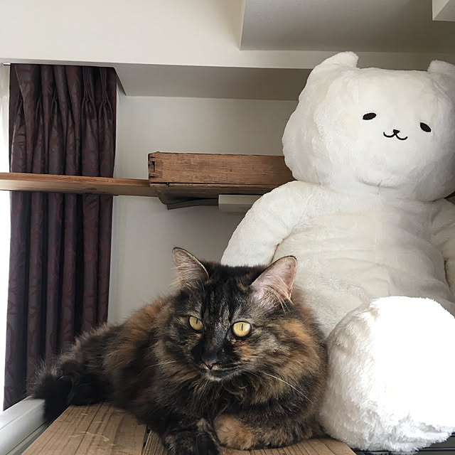 mikomaruさんの実例写真