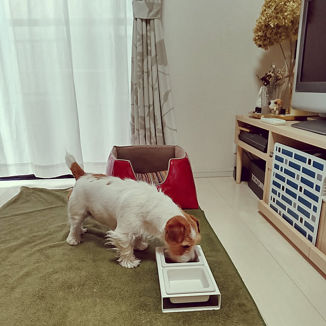 mintさんの実例写真