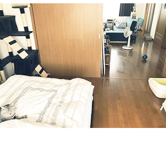 yukkki0610さんの実例写真