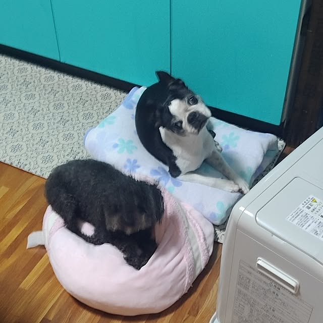 boston5757さんの部屋