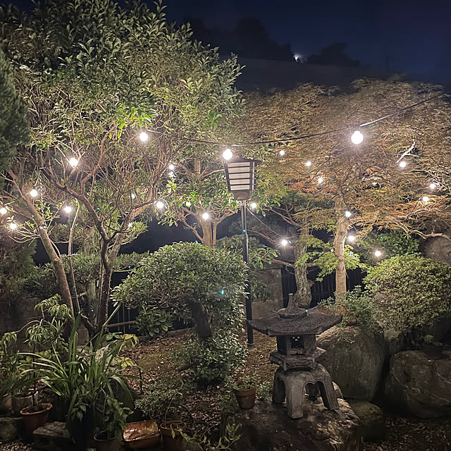 shin0719さんの実例写真