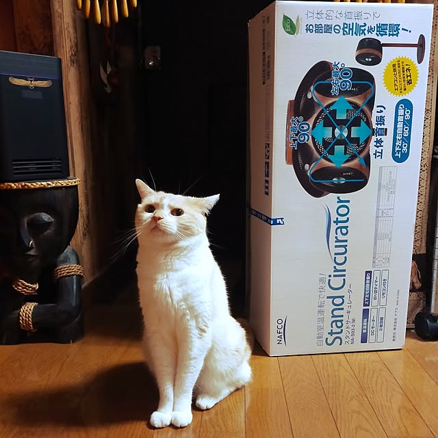 kobakissaさんの部屋