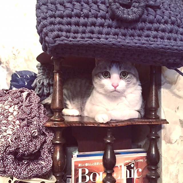 emmyyさんの実例写真
