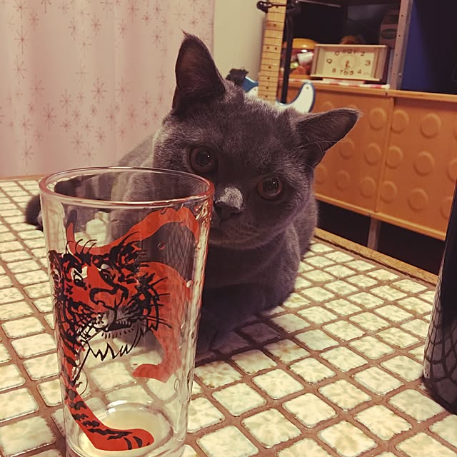 Shojiさんの実例写真