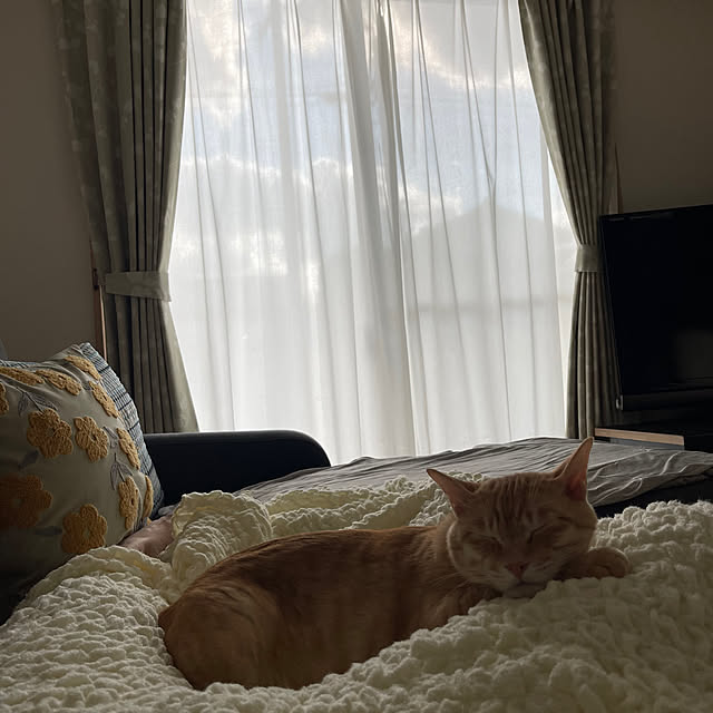 chiiさんの実例写真