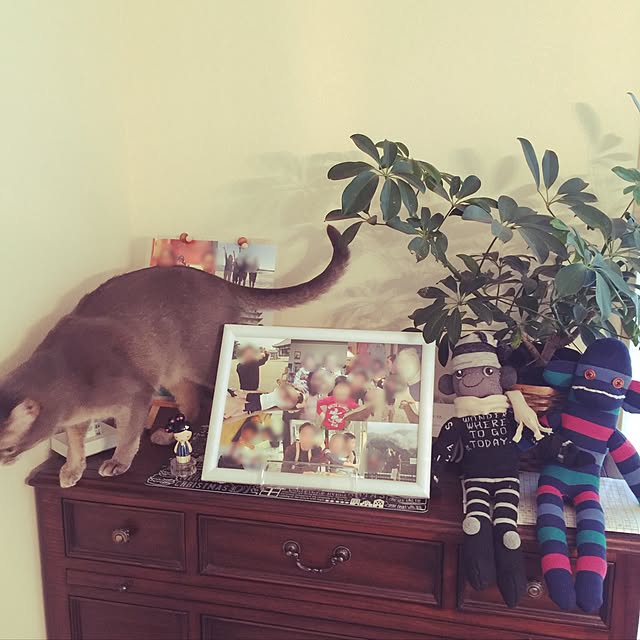 mi_koさんの実例写真