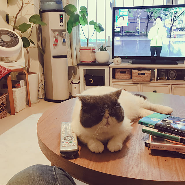 mukkomikkoさんの実例写真